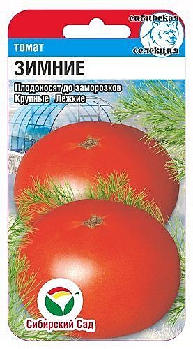 Т Зимние Сиб сад