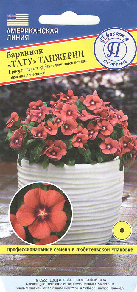 Ц Барвинок Тату Танжерин Престиж