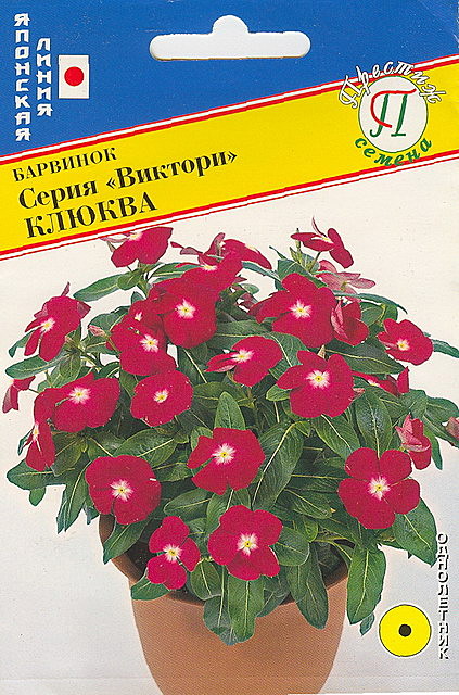 Ц Барвинок Виктори Клюква Престиж