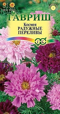 Ц Космея Радужные переливы махровая Гавриш
