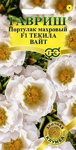 Ц Портулак Текила Вайт Гавриш