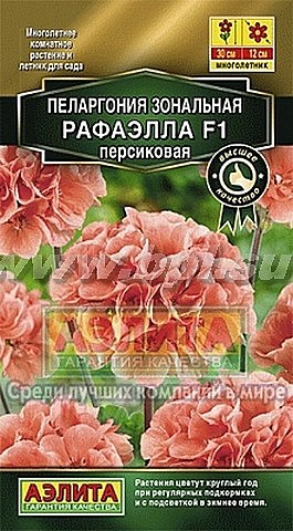 Ц Пеларгония Рафаэлла персиковая Аэлита