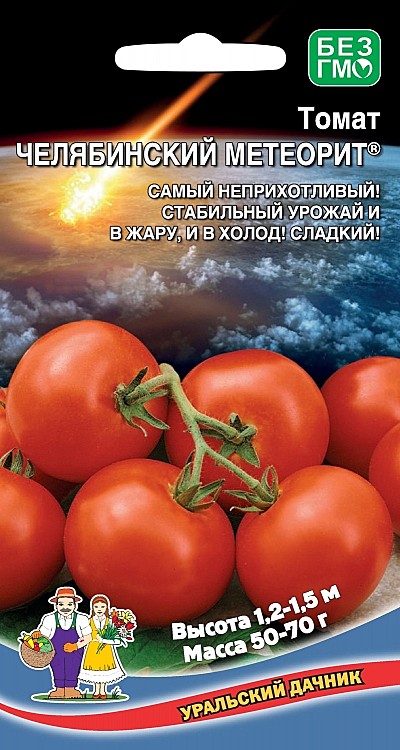 Т Челябинский метеорит УД