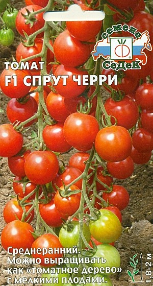 Т Спрут черри Седек