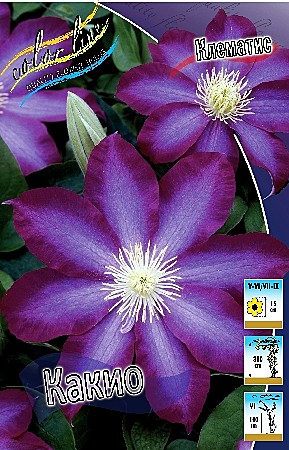 8987 Клематис Какио 2шт/1шт