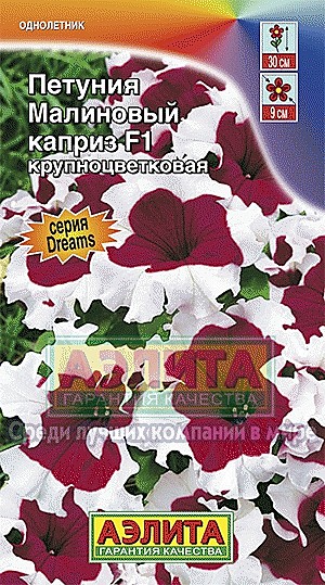 Ц П Малиновый каприз многоцв  Аэлита