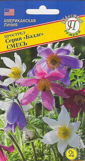 Ц Прострел Беллс смесь Престиж