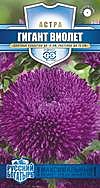 Ц А Гигант виолет Гавриш