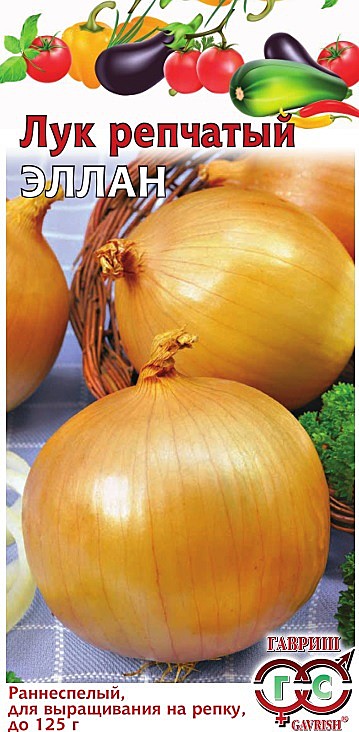 Л Эллан подзимний Гавриш 