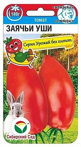 Т Заячьи уши Сиб сад