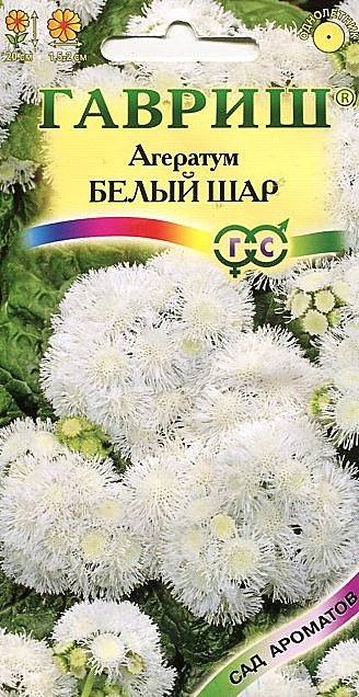 Ц Агератум Белый шар Гавриш 