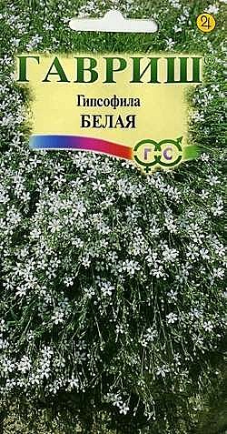 Гипсофила Белая ползучая  0,05г Гавриш