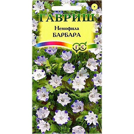 Ц Немофила Барбара пятнистая Гавриш