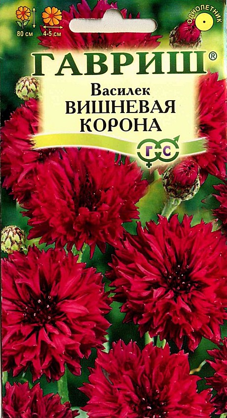 Ц Василек Вишневая  корона Гавриш