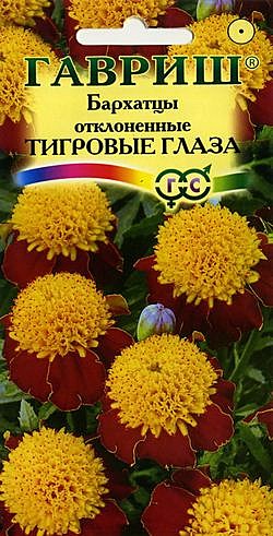 Ц Барх Тигровые глаза (Тагетис) Гавриш