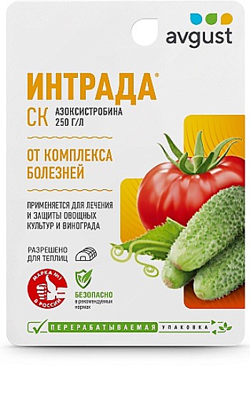 Х Интрада 10мл (80)