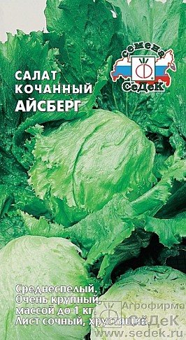 Ф С Айсберг Седек