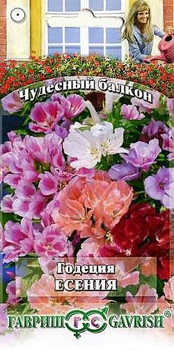 Ц Годеция Есения  Гавриш