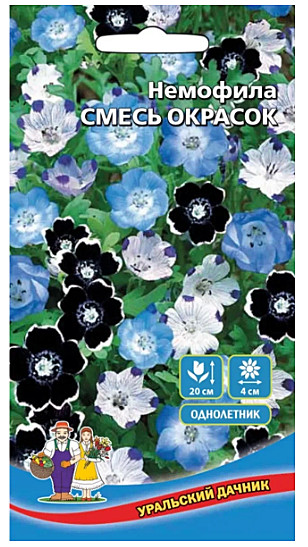 Ц Немофила Смесь окрасок УД
