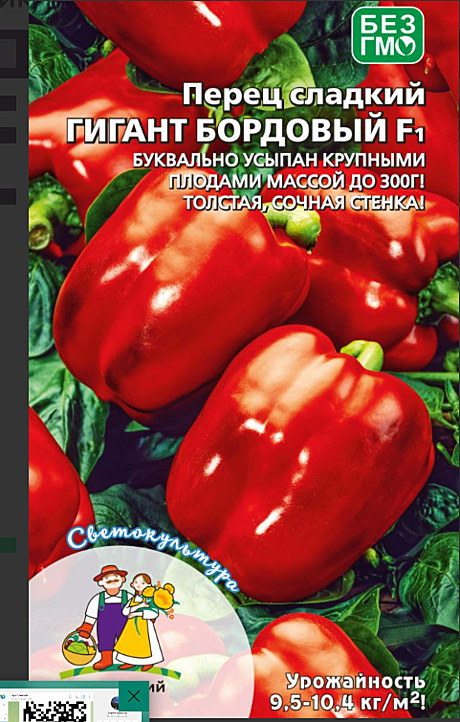 П Гигант бордовый УД