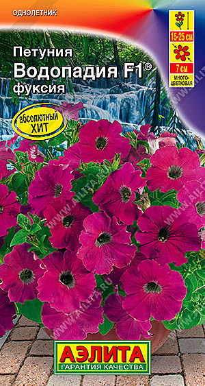 Ц П Водопадия фуксия Аэлита