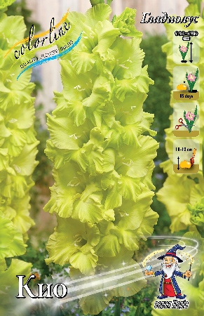 Изображение товара