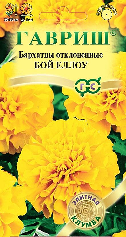 Ц Барх Бой Еллоу Гавриш