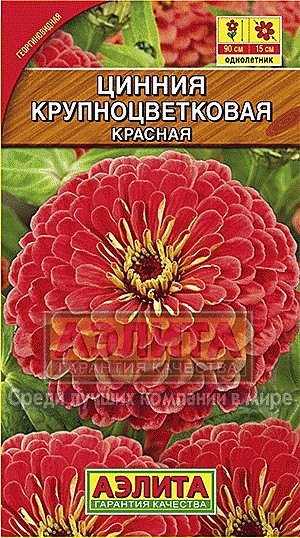 Ц Цинния Крупноцветковая красная Аэлита
