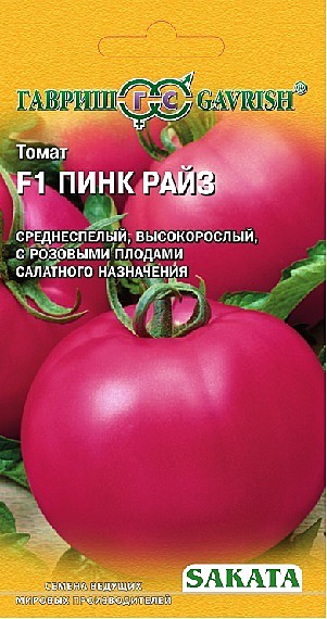 Т Пинк Райз Гавриш