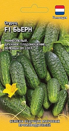 О Бьёрн Гавриш