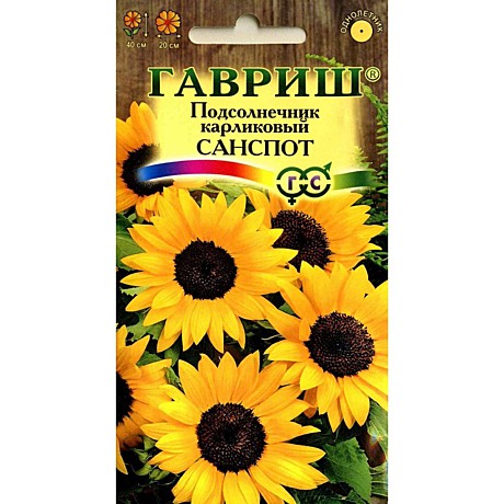 Ц Подсолнечник Санспот карлик. Гавриш