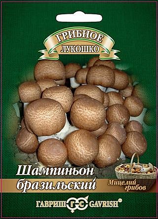 Шампиньон Бразильский на зерновом субстрате 15мл Гавриш