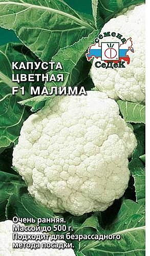 К Цв Гудман Гавриш