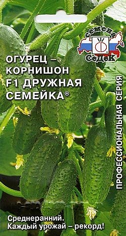 О Дружная Семейка Седек 
