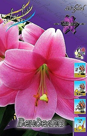 9701 Лилия Венделла ло (5шт) 1шт