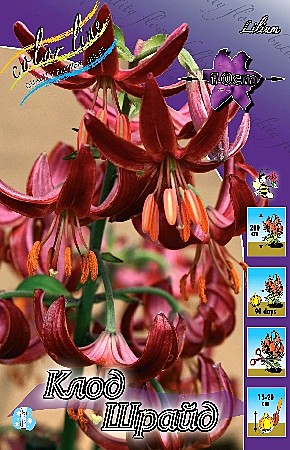 9992 Лилия Клод Шрайд спец 2шт/1шт