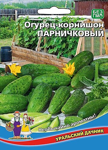 О Парничковый - корнишон УД