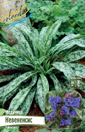 Изображение товара