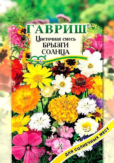 Газон