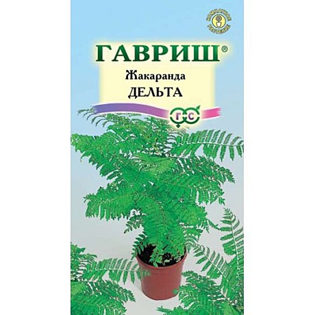 Ц Жакаранда Дельта Гавриш