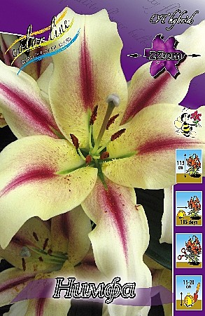 2145 Лилия Нимфа От 5шт/1шт