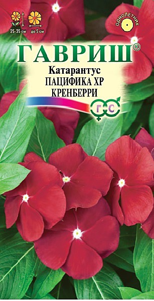 Ц Катарантус Пацифика Кренберри Гавриш