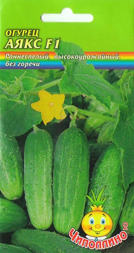 О Аякс Чиполлино