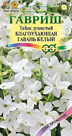 Ц Табак Благоухающая гавань белый Гавриш