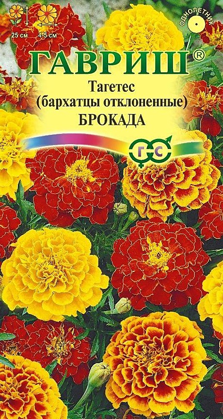 Ц Барх Брокада смесь Гавриш