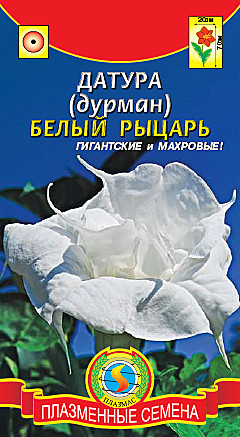 Ц Датура Белый рыцарь Плазма