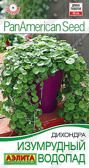 Ц Дихондра Изумрудный Водопад Аэлита