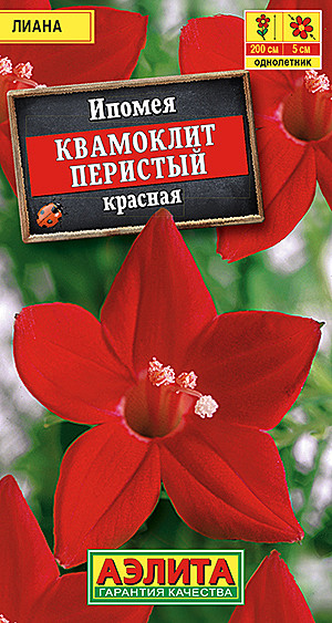 Ц Ипомея Квамоклит красная Аэлита