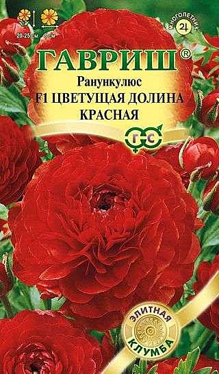 Ц Ранункулюс цветущая долина красная Гавриш