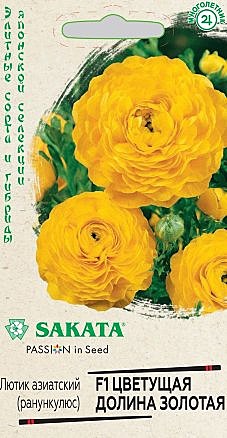 Ц Ранункулюс цветущая долина золотая Гавриш